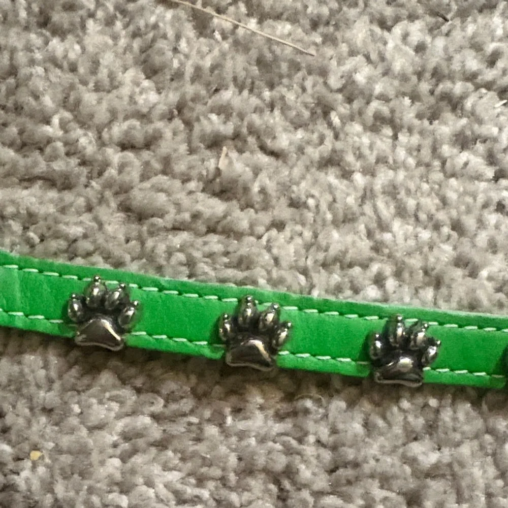 New leather Green One Dog Collar with Paw Print Accents size 19 inches xs/small